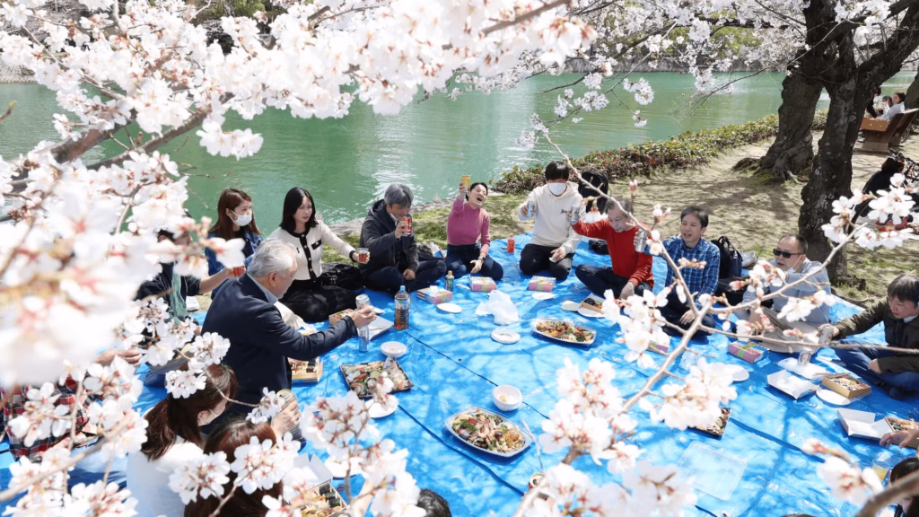 Hanami 